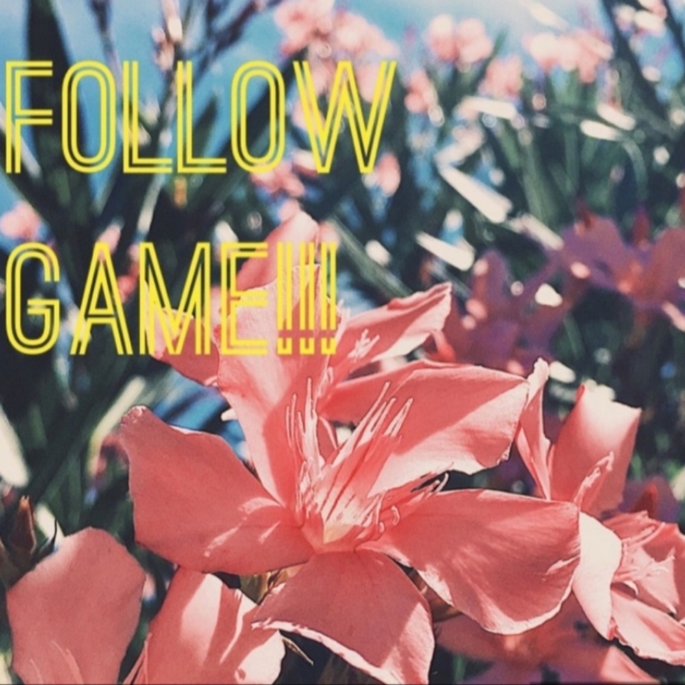 FOLLOW GAME! - Picture 8 of 8